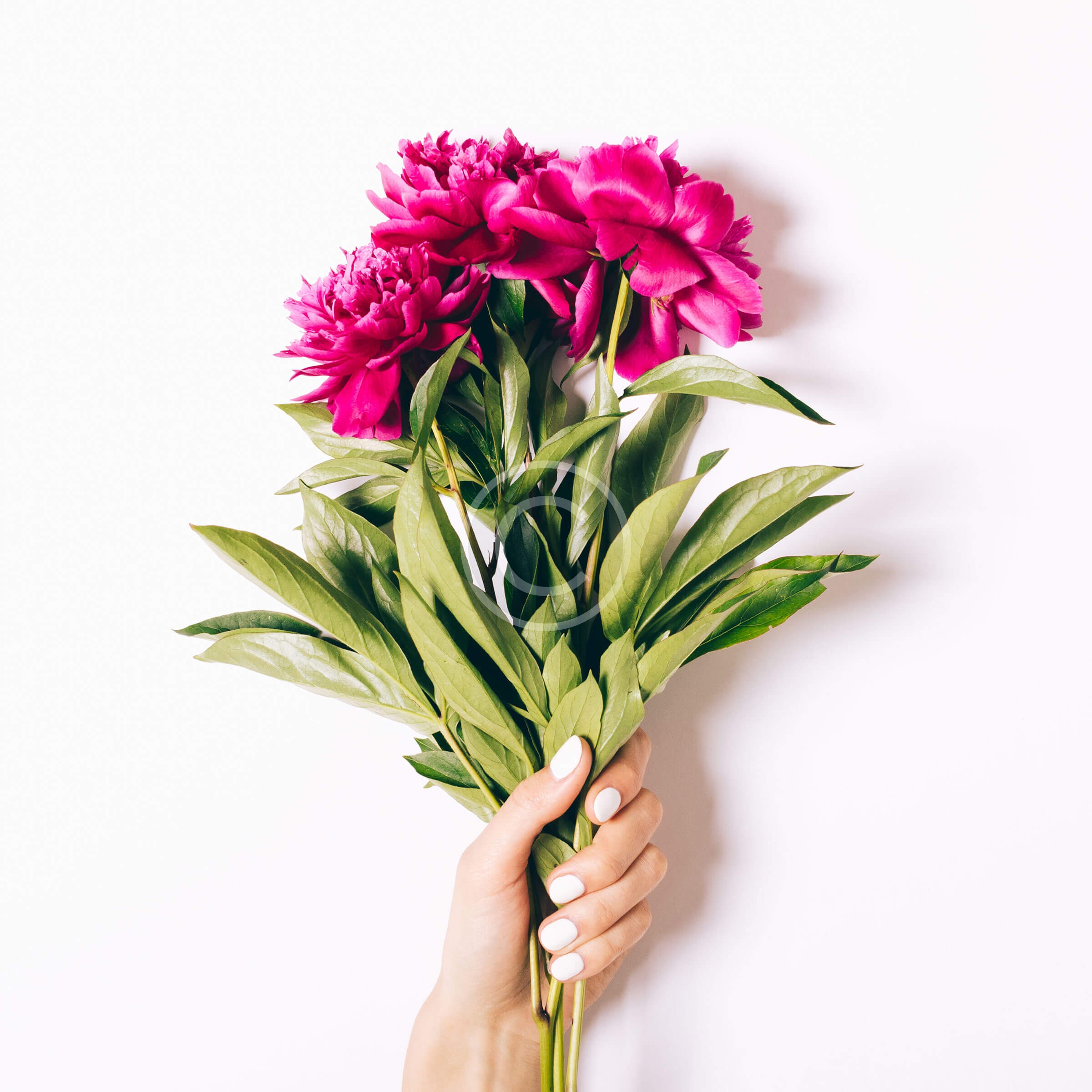 gallery10 Bloom Beauty Bar